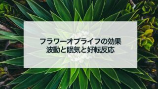 シードオブライフの効果 | 占いおまじないスピリチュアル