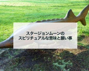 スタージョンムーンのスピリチュアルな意味と願い事