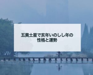 五黄土星で亥年いのしし年の性格と運勢