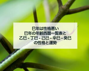 巳年は性格悪い巳年の年齢西暦一覧表と乙巳-丁巳-己巳-辛巳-癸巳の性格と運勢
