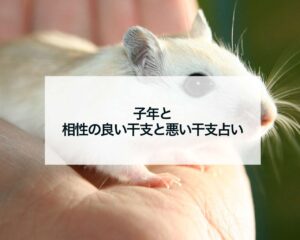 子年と相性の良い干支と悪い干支占い