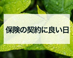 保険の契約に良い日