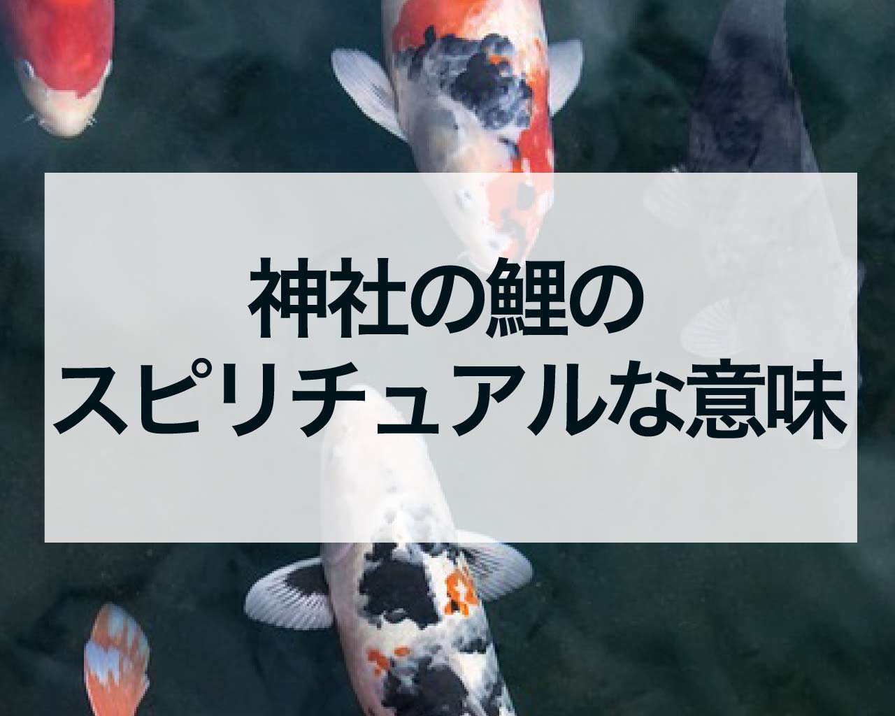 神社の鯉のスピリチュアルな意味