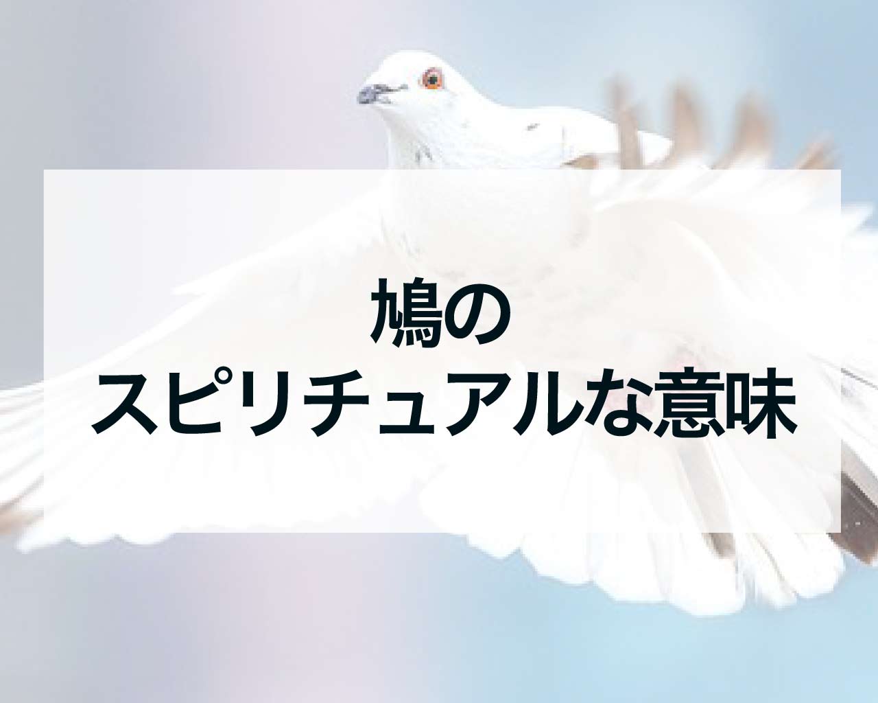 鳩のスピリチュアルな意味