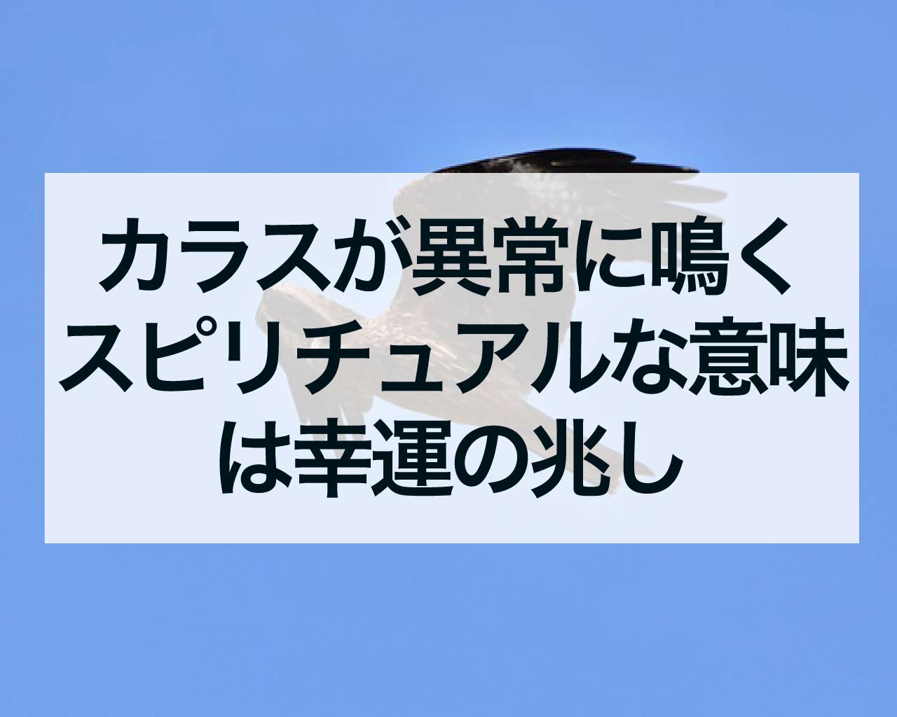 カラスが異常に鳴くスピリチュアルな意味は幸運の兆し