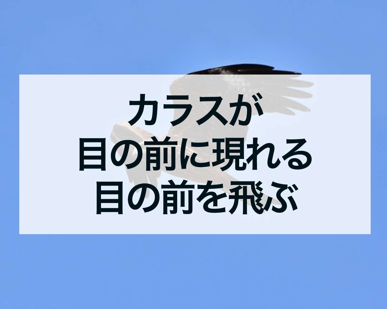 カラスが目の前に現れるカラスが目の前を飛ぶスピリチュアル