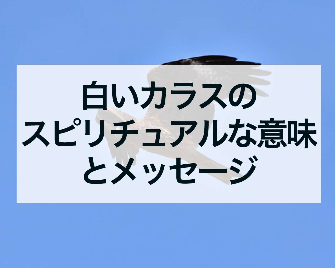 白いカラスのスピリチュアルな意味とメッセージ