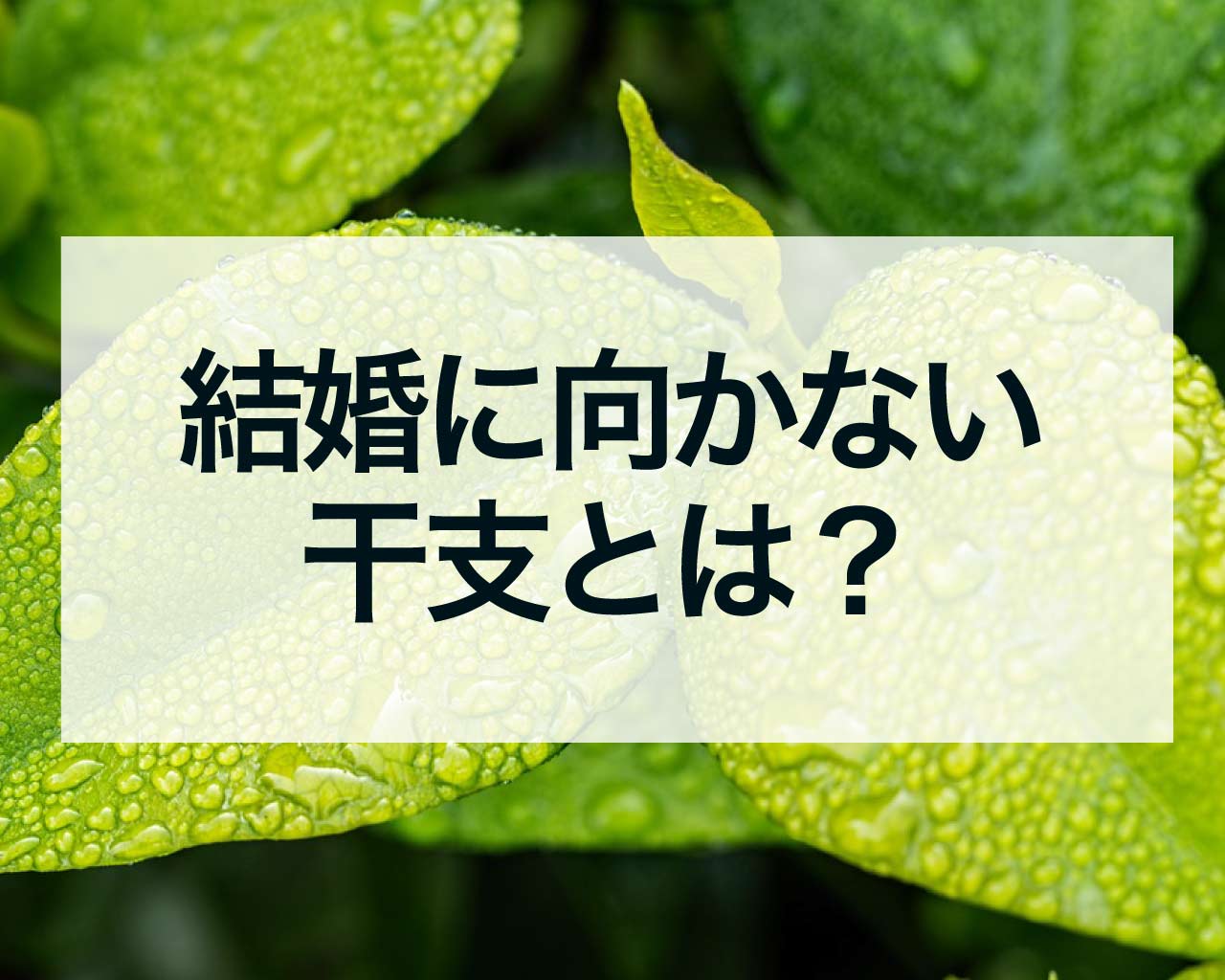 結婚に向かない干支とは？異常干支と結婚