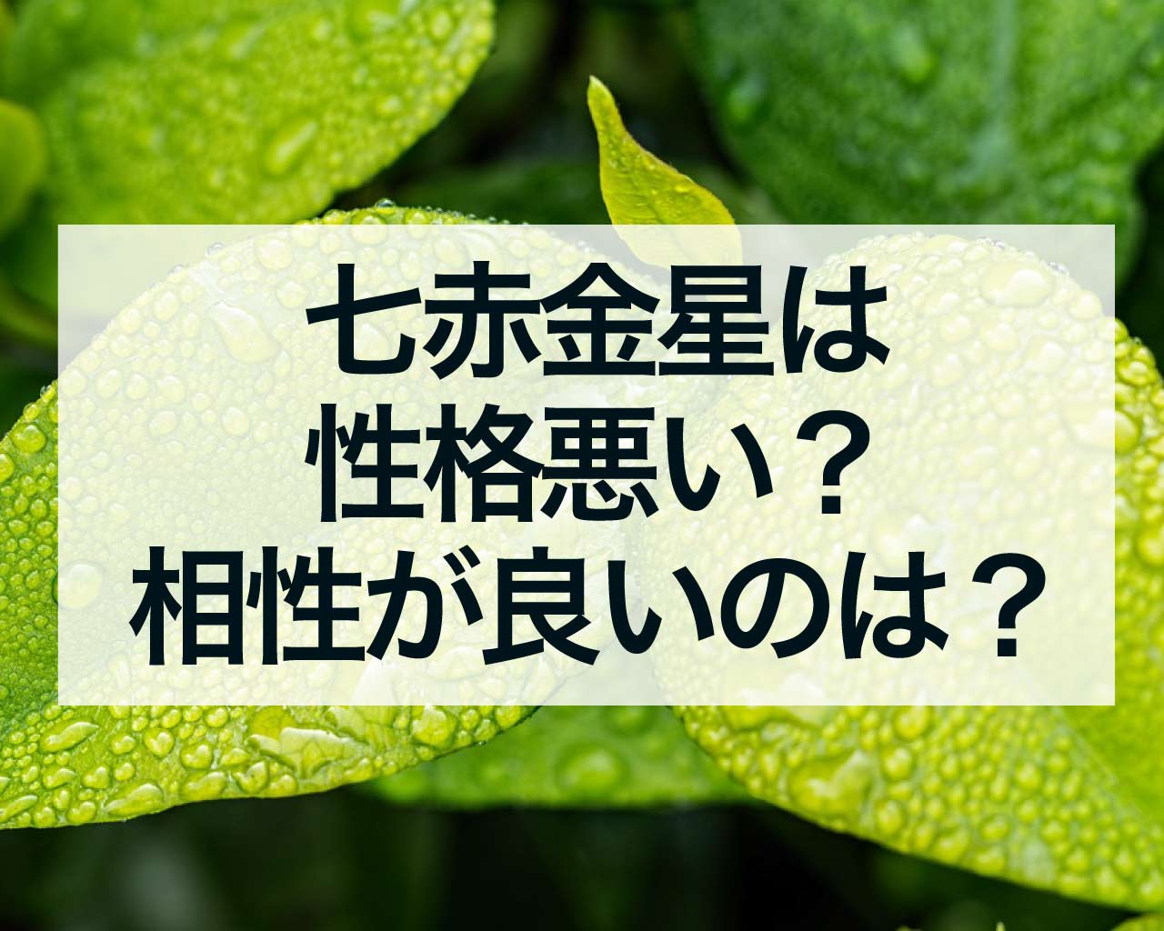 七赤金星は性格悪い？相性が良いのは？