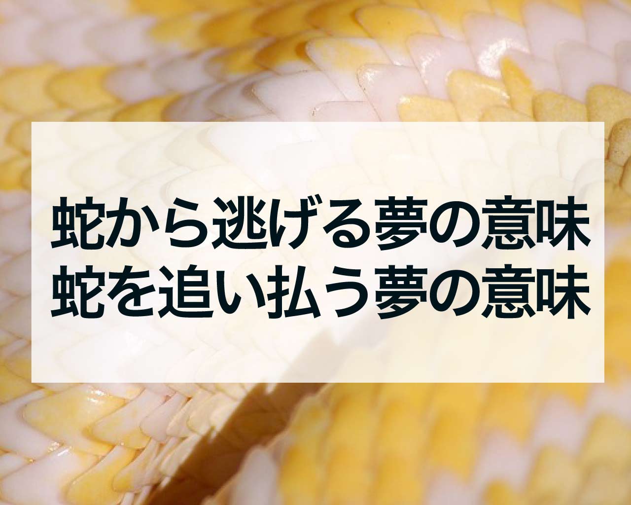 蛇から逃げる夢の意味、蛇を追い払う夢の意味