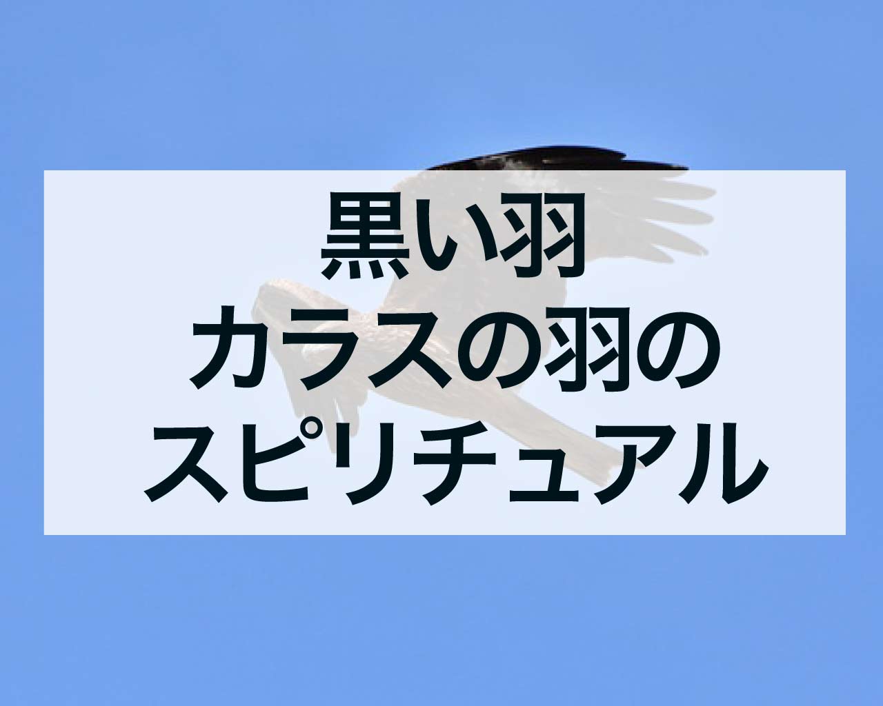 黒い羽、カラスの羽のスピリチュアルな意味、縁起が良い？恋愛は？それとも不吉？