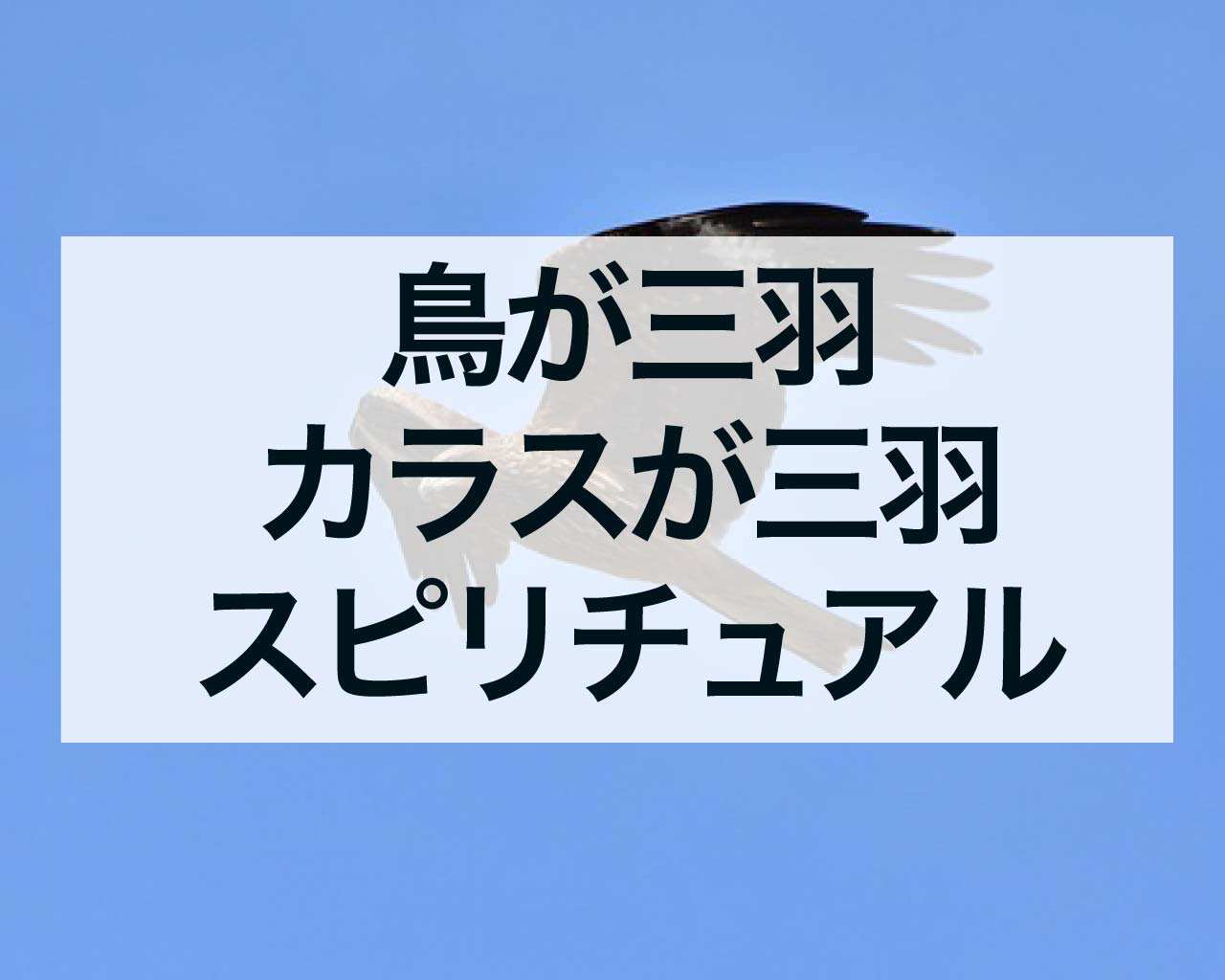 鳥が三羽、カラスが三羽、3羽の鳥のスピリチュアルメッセージ