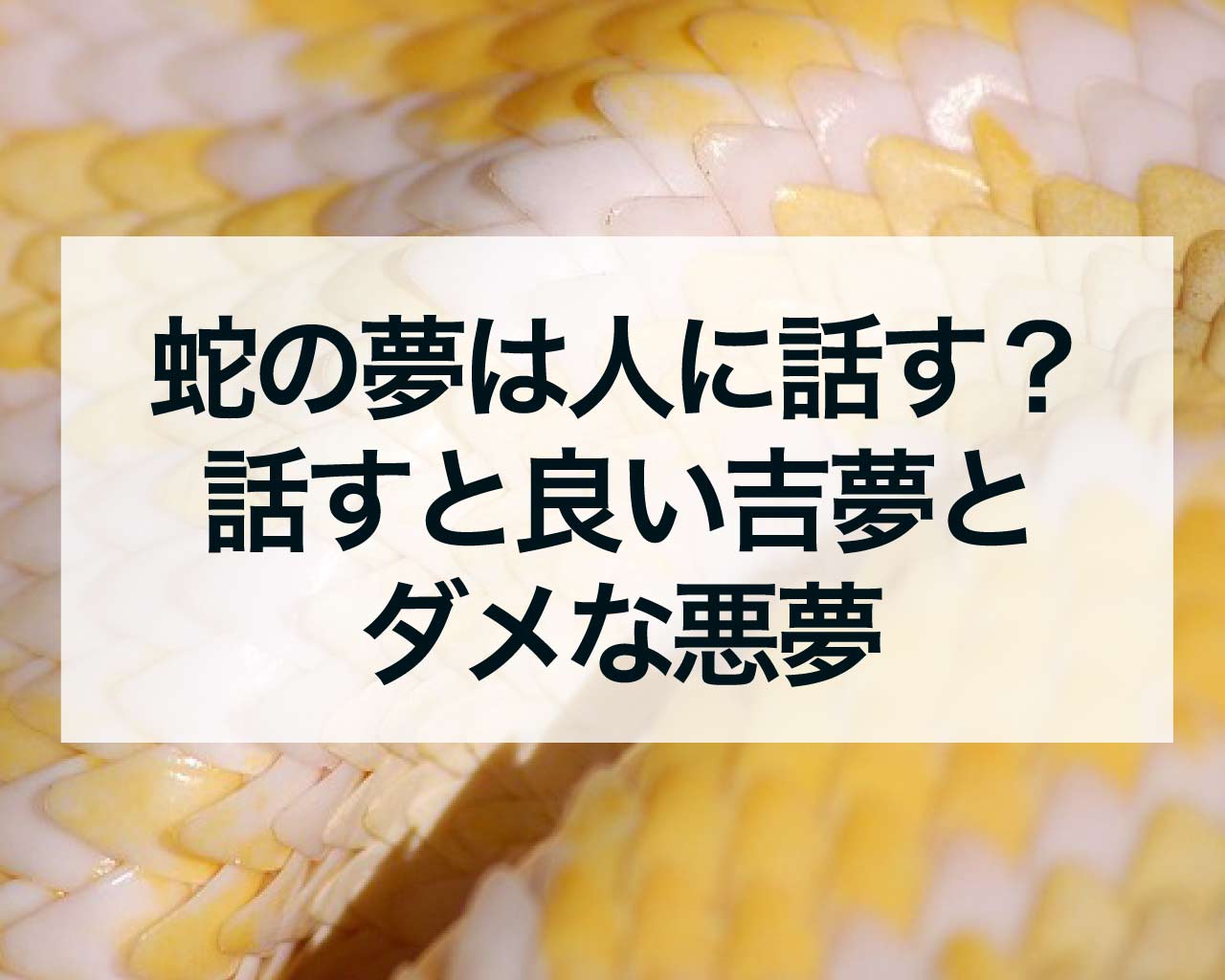 蛇の夢は人に話す？話すと良い吉夢とダメな悪夢