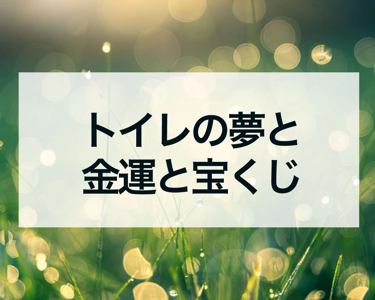 トイレの夢と金運と宝くじ、汲み取り式トイレやボットントイレは金運が上がる夢