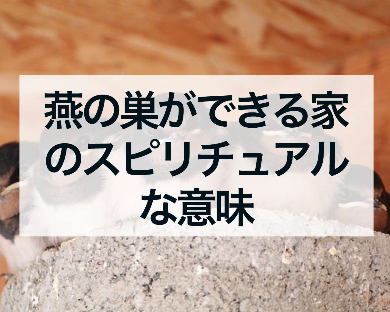 燕の巣ができる家のスピリチュアルな意味