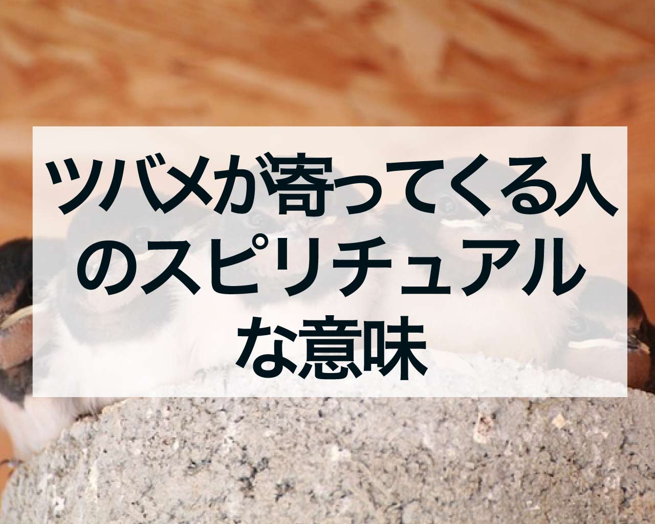 ツバメが寄ってくる人のスピリチュアルな意味