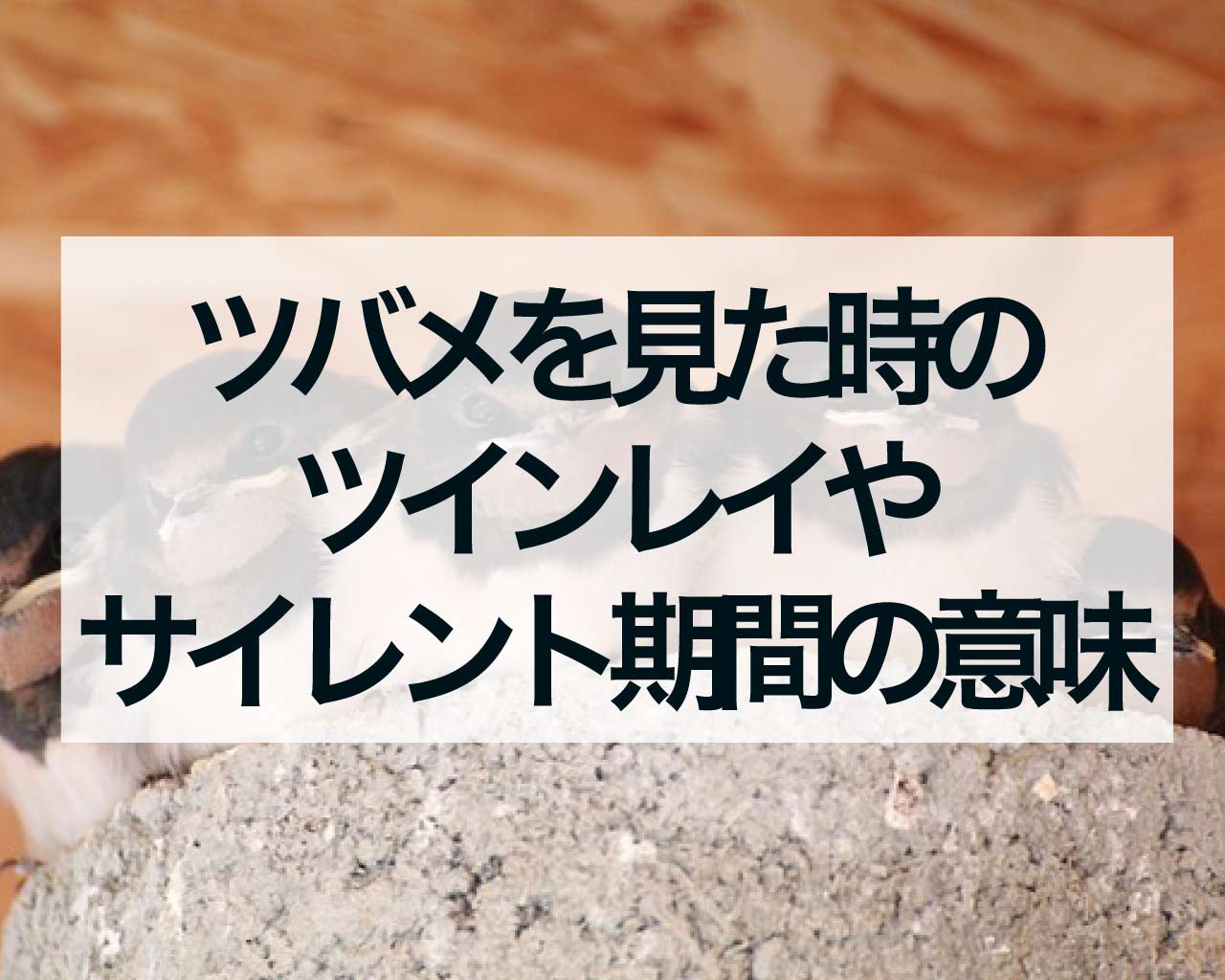 ツバメを見た時のツインレイやサイレント期間の意味