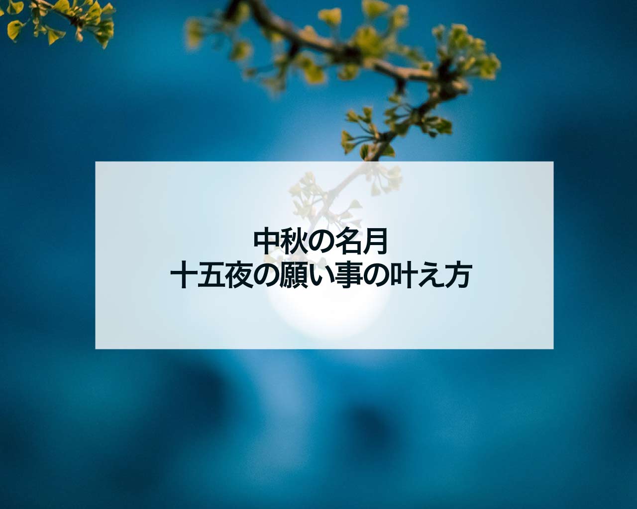 中秋の名月、十五夜の願い事の叶え方