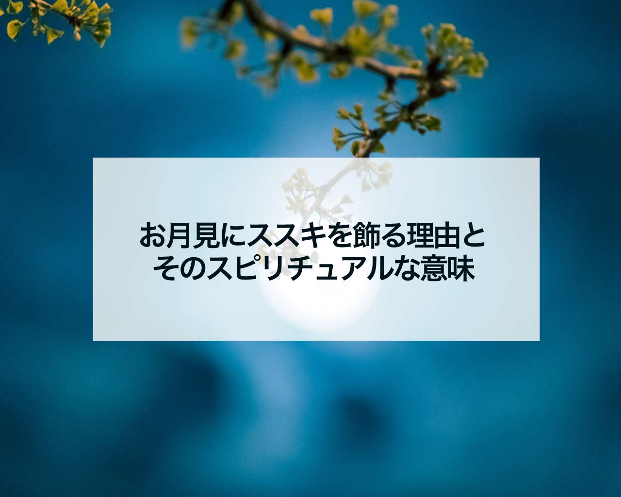 お月見にススキを飾る理由とそのスピリチュアルな意味