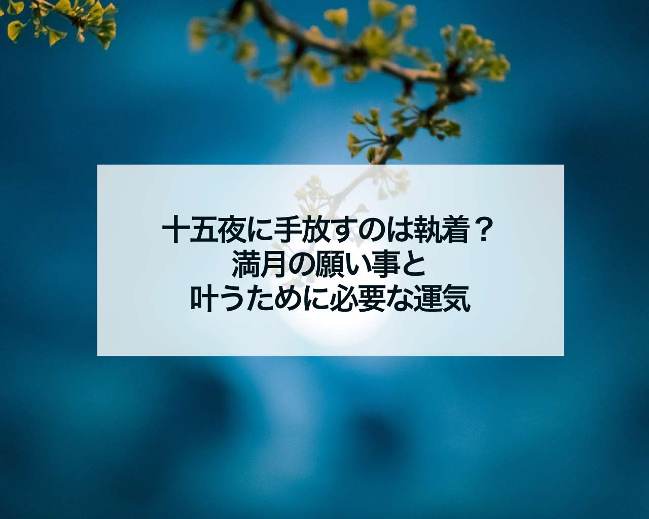 十五夜に手放すのは執着？満月の願い事と叶うために必要な運気