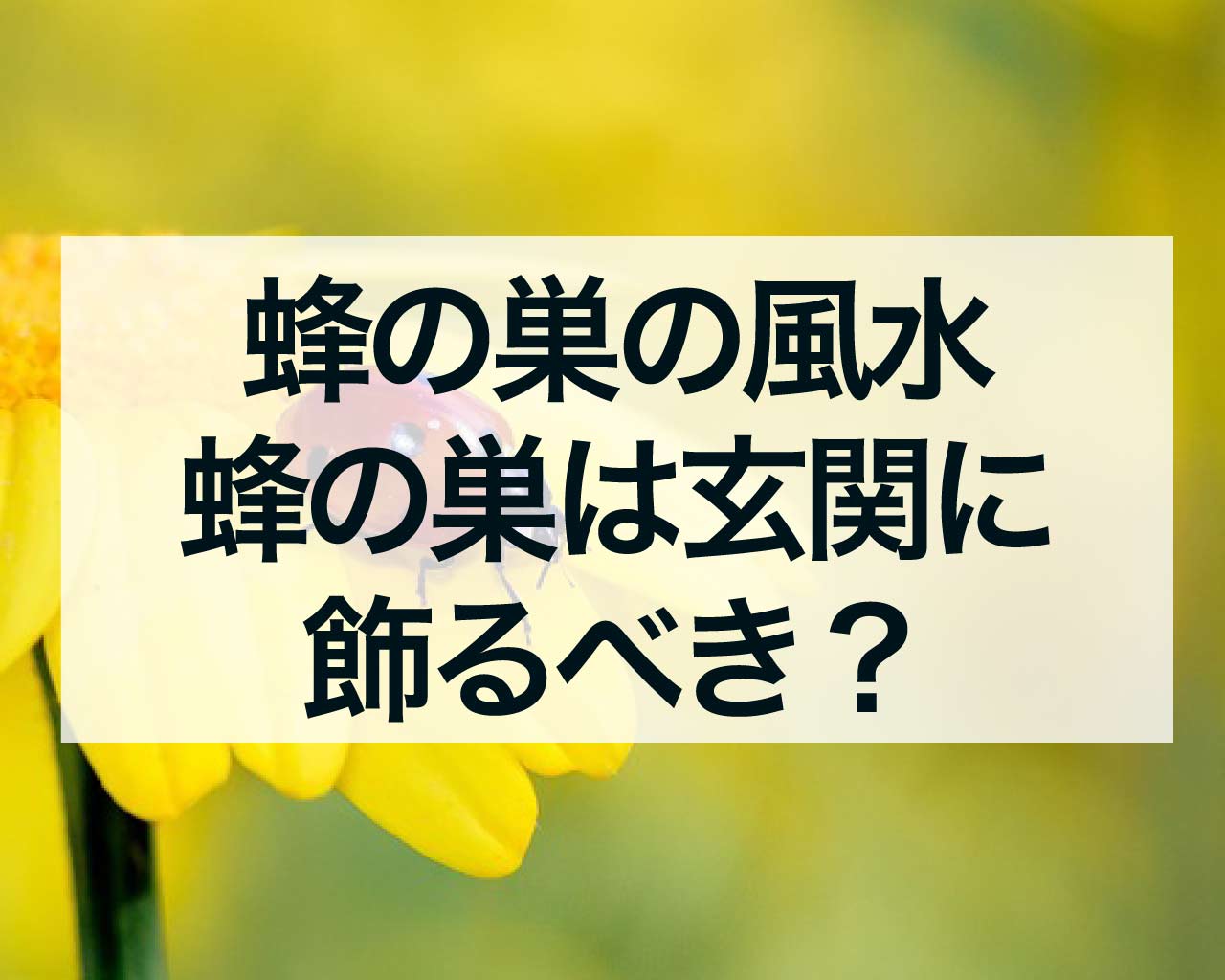 蜂の巣の風水、蜂の巣は玄関に飾るべき？