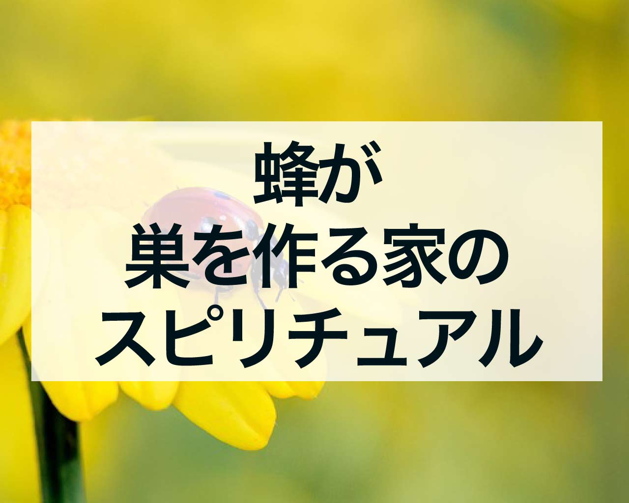 蜂が巣を作る家のスピリチュアル、縁起が良い？金運が上がる？