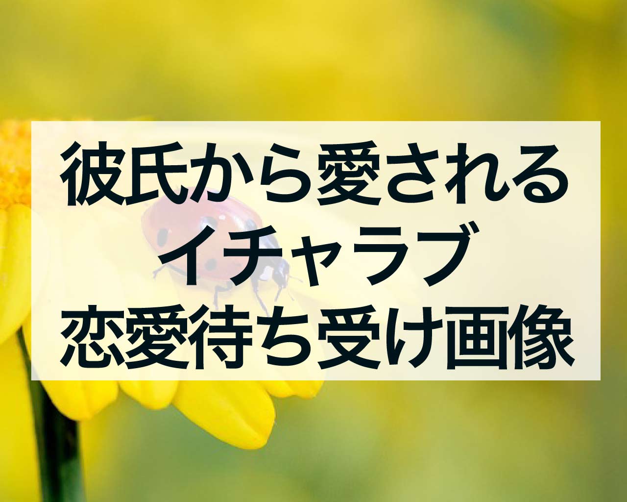 彼氏から愛されるイチャラブ恋愛待ち受け画像