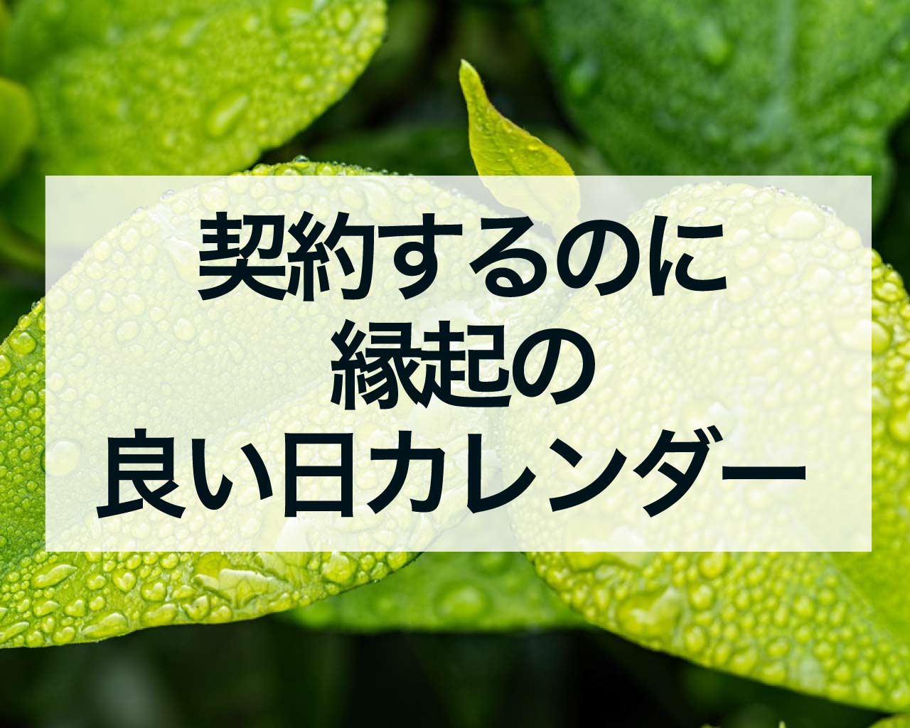 契約するのに縁起の良い日カレンダー 、運気を味方にして成功を掴む！