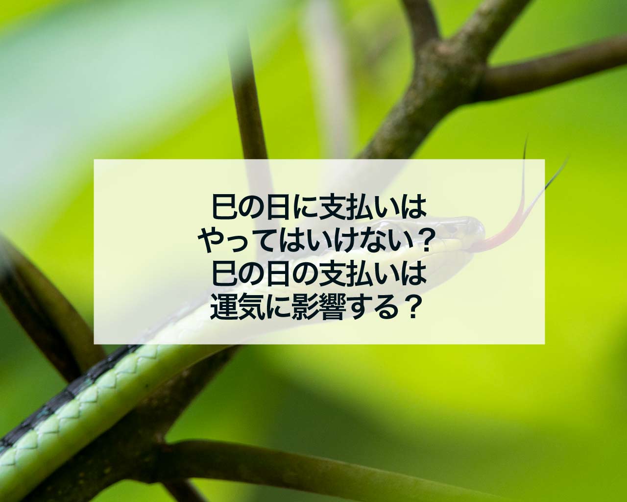 巳の日に支払いはやってはいけない？巳の日の支払いは運気に影響する？