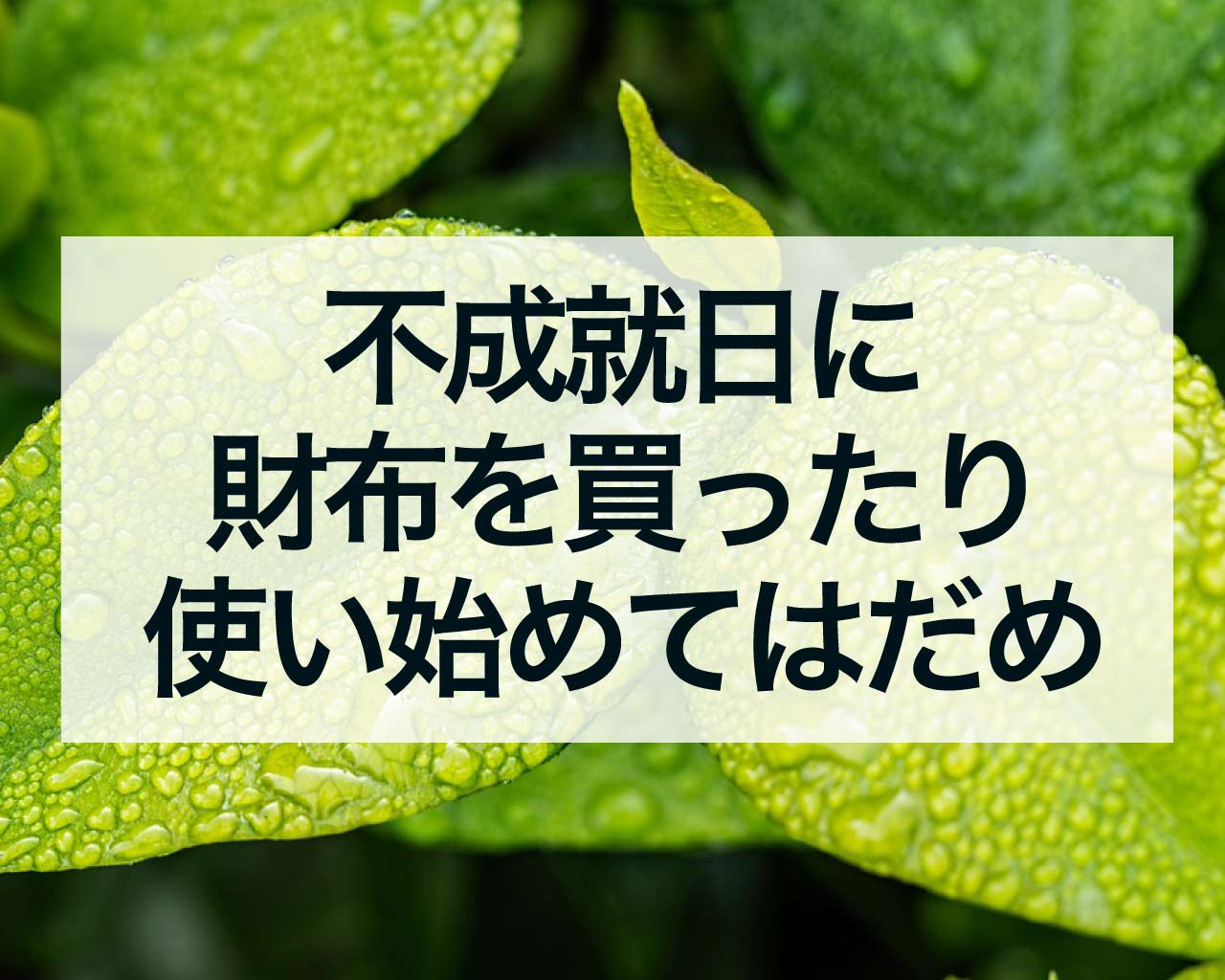 不成就日に財布を買ったり使い始めてはいけない理由