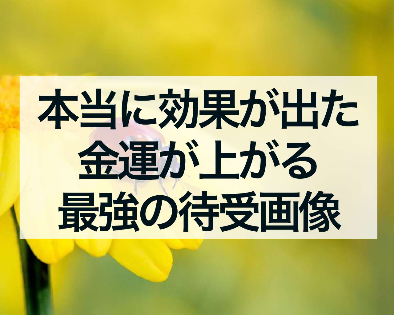 本当に効果が出た金運が上がる最強の待受画像