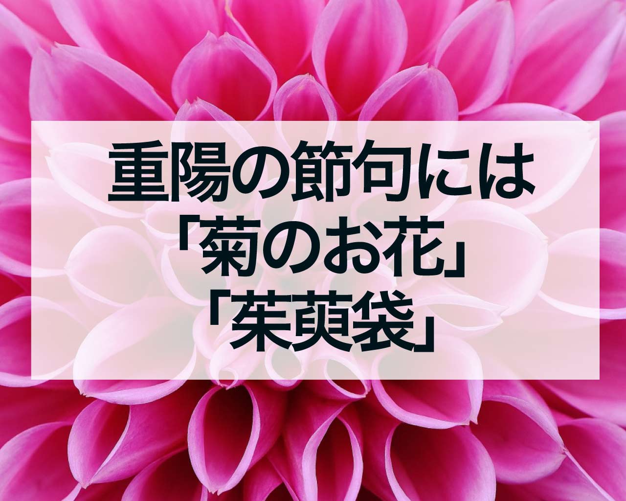 重陽の節句には「菊のお花」と「茱萸袋」