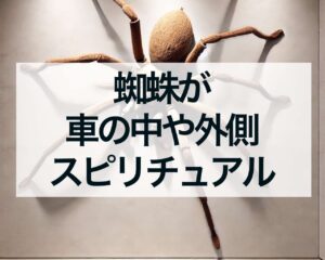 蜘蛛が車の中や外側についているスピリチュアルな意味やメッセージ