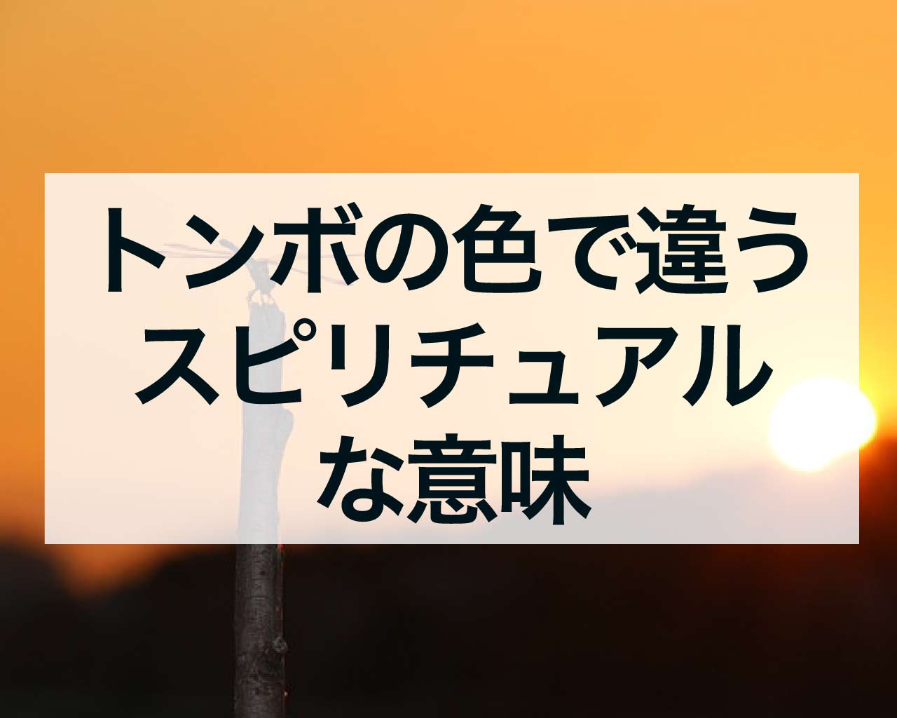 トンボの色で違うスピリチュアルな意味、金色や赤、青のトンボとは？