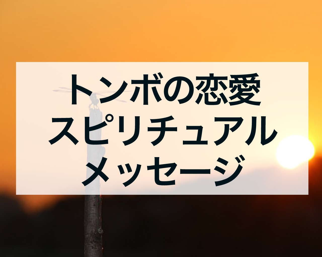 トンボの恋愛スピリチュアルメッセージ