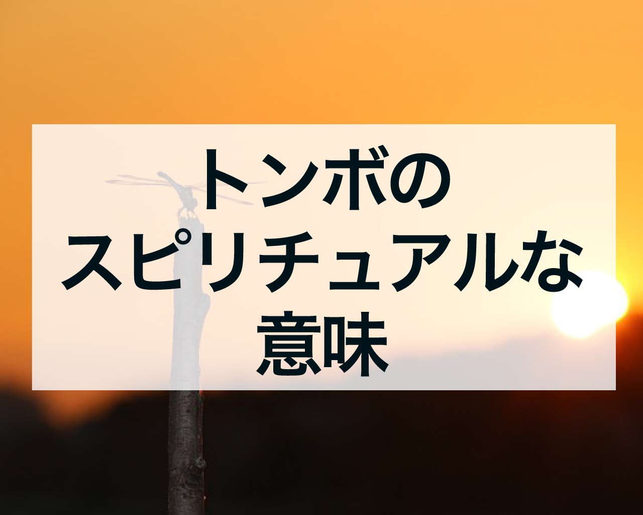 トンボのスピリチュアルな意味を徹底解説！人生に訪れる変化や運命のサインとは？