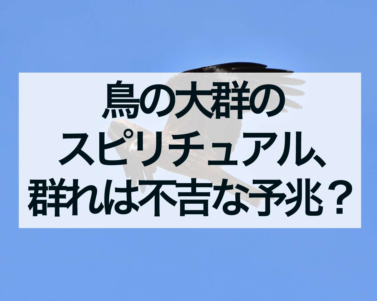 鳥の大群のスピリチュアル、鳥の群れは不吉な予兆？どうして夕方に多いの？