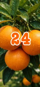 みかん(橘):金運をまるく、あたたかく育てる