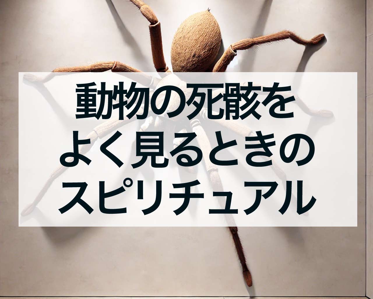 動物の死骸をよく見るときのスピリチュアル