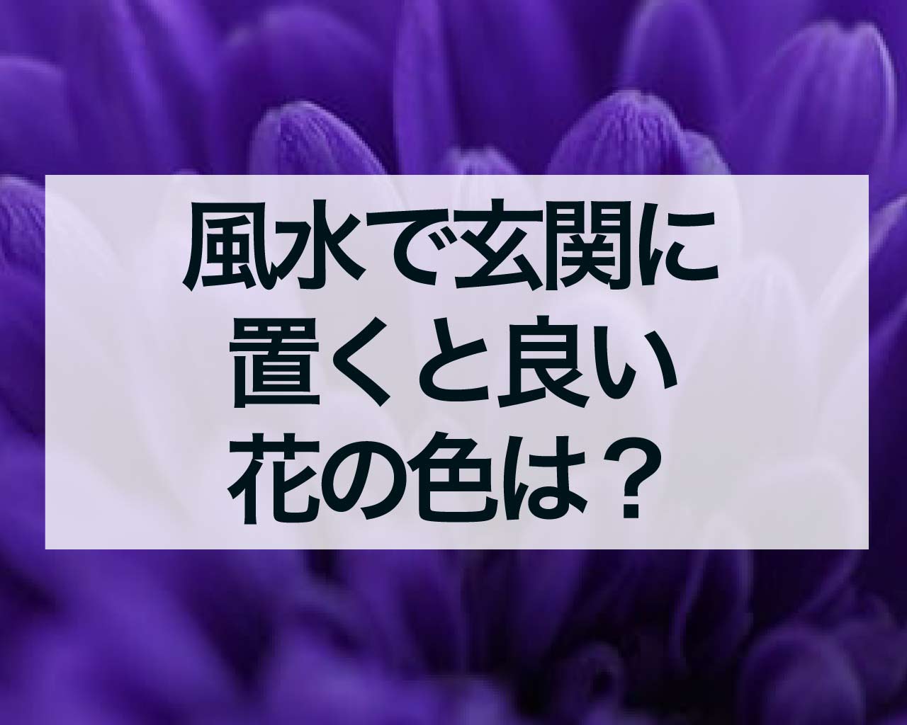 風水で玄関に置くと良い花の色は？