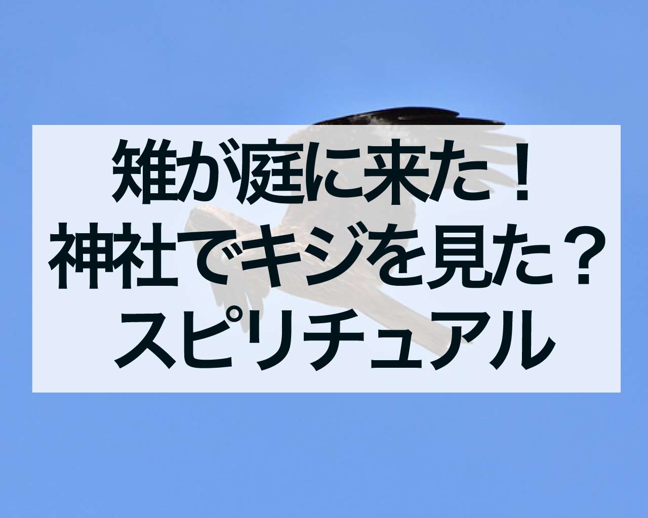 雉が庭に来た！神社でキジを見た？そのスピリチュアルな意味とは？