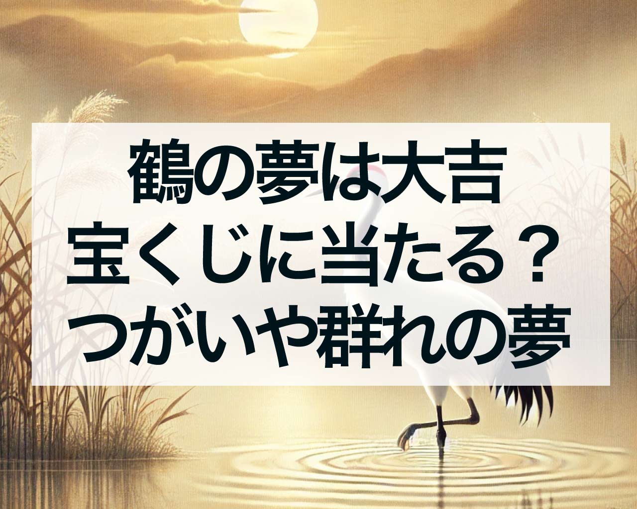 鶴の夢は大吉、宝くじに当たる？つがいの鶴や鶴の群れの夢