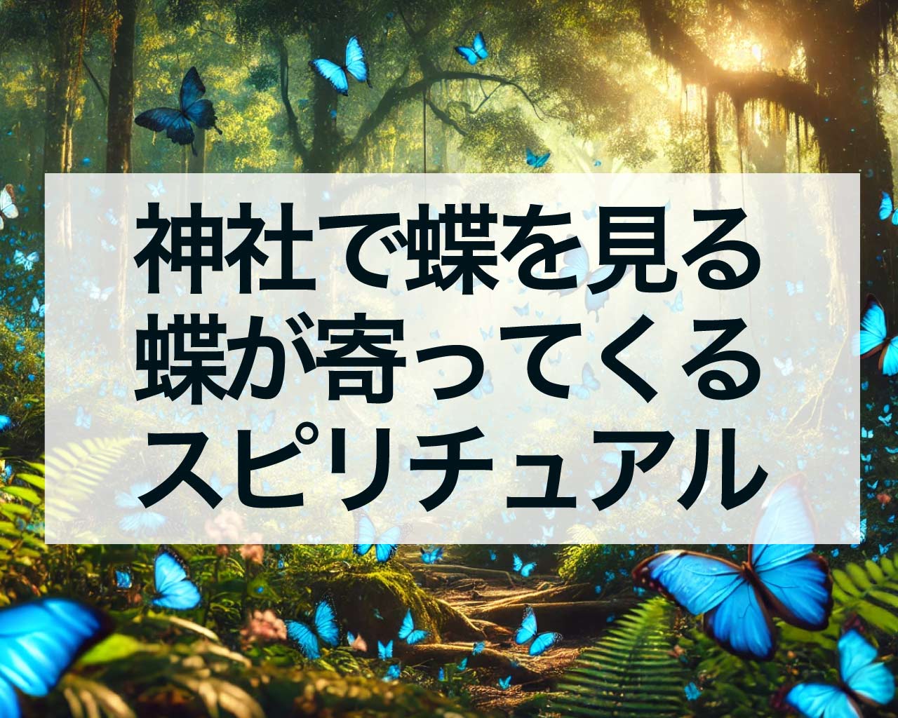 神社で蝶を見る、蝶が寄ってくる、体につく、神社で蝶が横切るスピリチュアルな意味