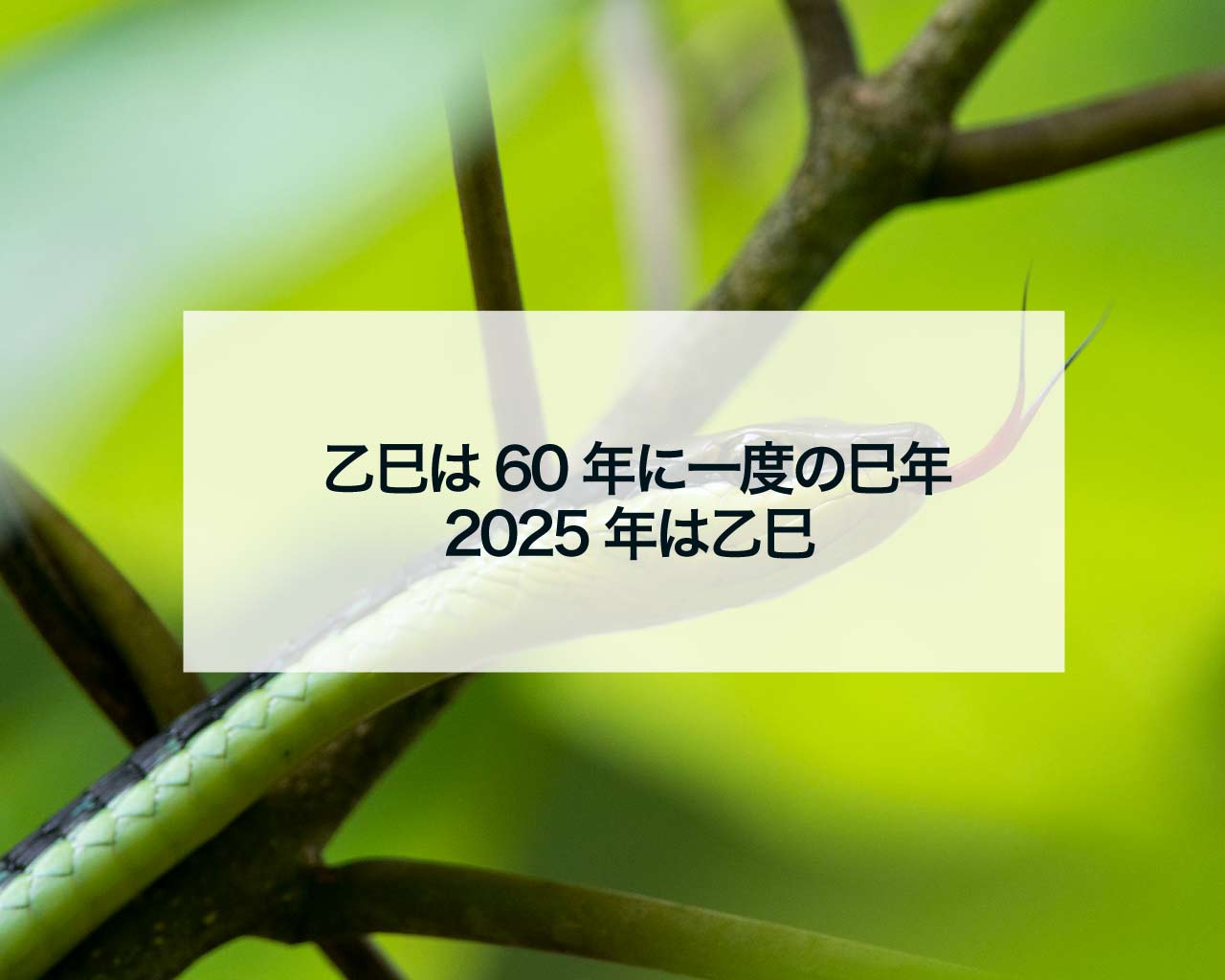 乙巳は60年に一度の巳年、2025年は乙巳