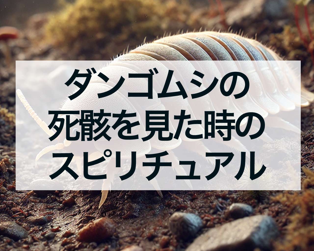 ダンゴムシの死骸を見た時のスピリチュアルな意味とは？