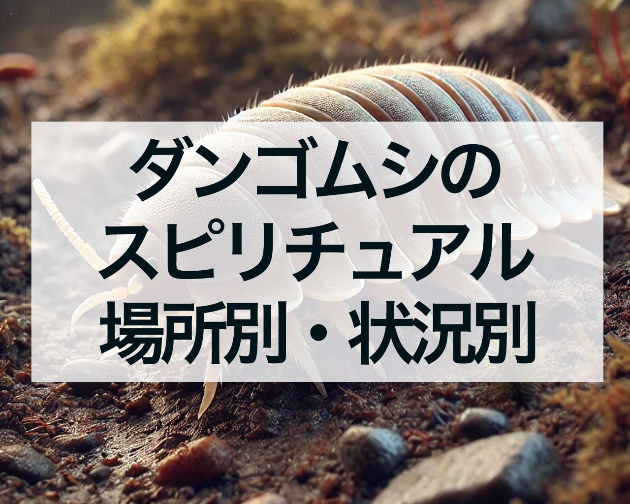 ダンゴムシのスピリチュアルな意味とは？場所別・状況別