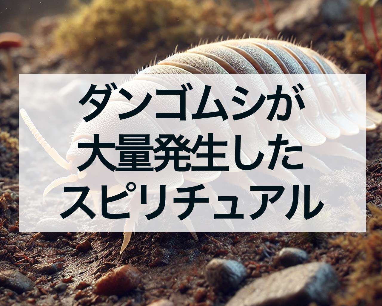 ダンゴムシが大量発生したスピリチュアルな意味とは？