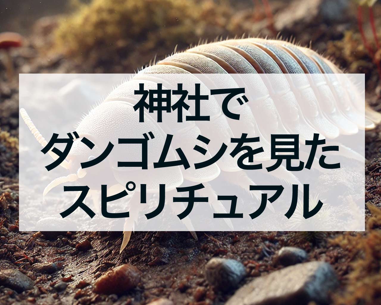 神社でダンゴムシを見た！そのスピリチュアルな意味とは？