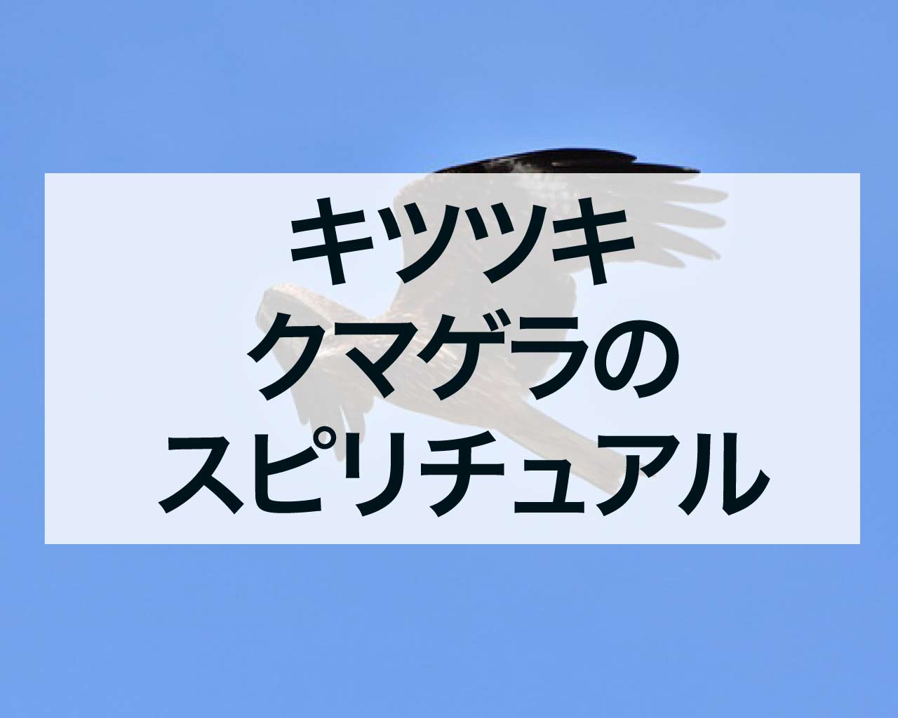 キツツキ・アカゲラ・クマゲラのスピリチュアルな意味