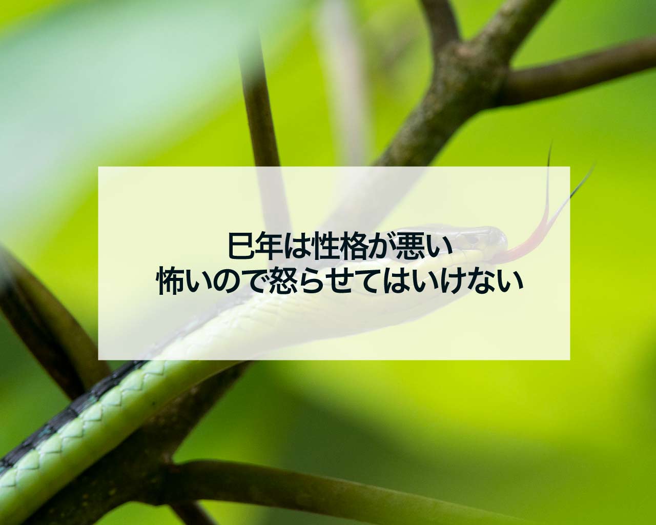 巳年は性格が悪い、怖いので怒らせてはいけない